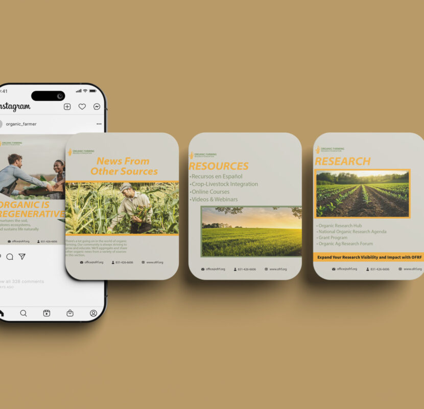 Social Media Branding