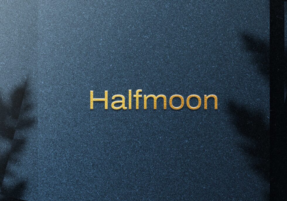 Logo Design Services in India